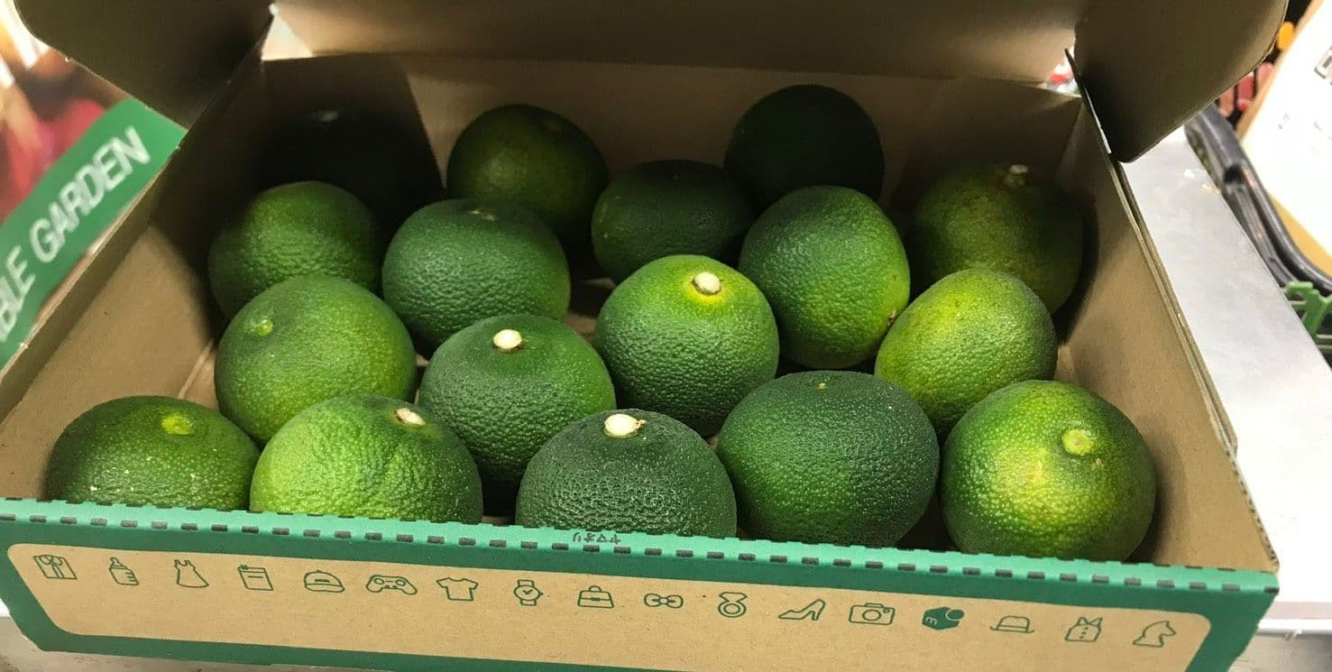 宮崎県産ハウスへべす 1kg