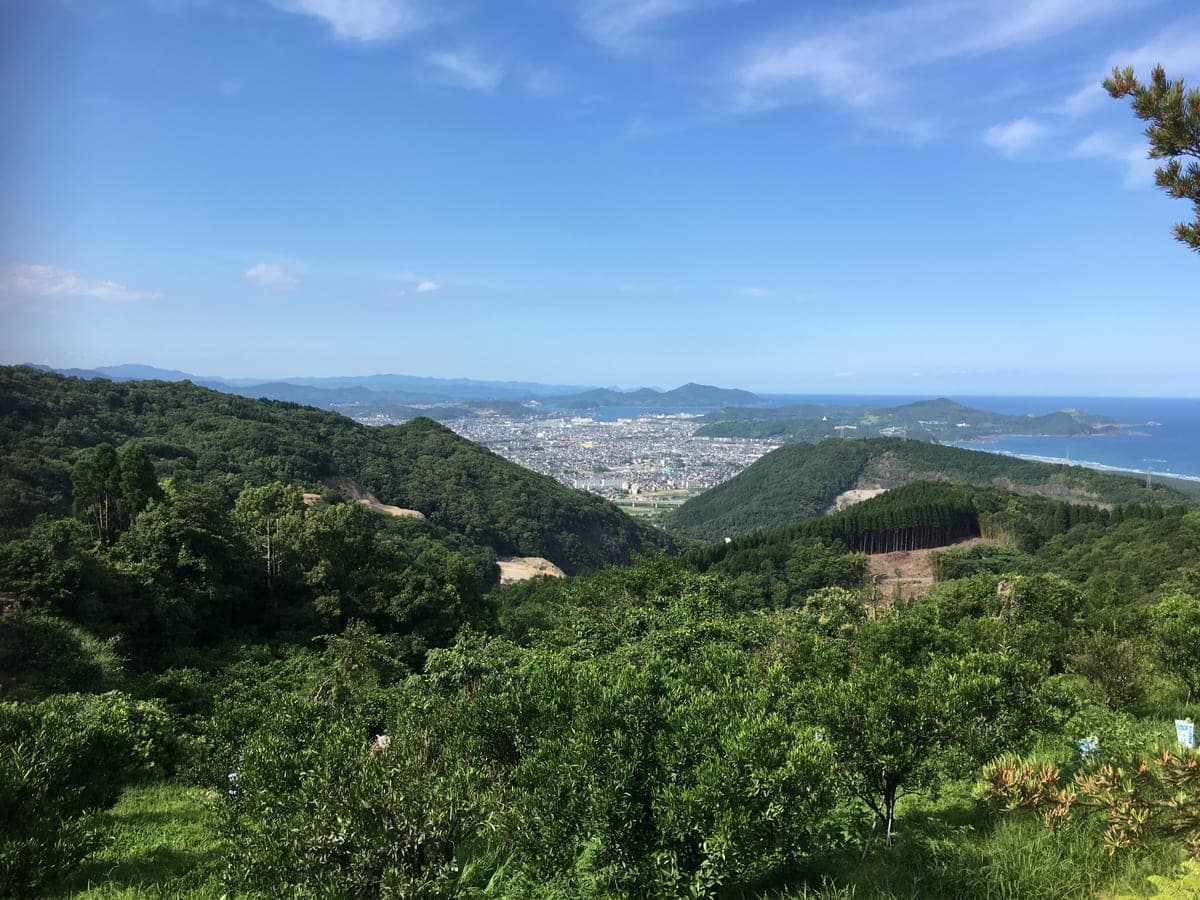 路地へべす